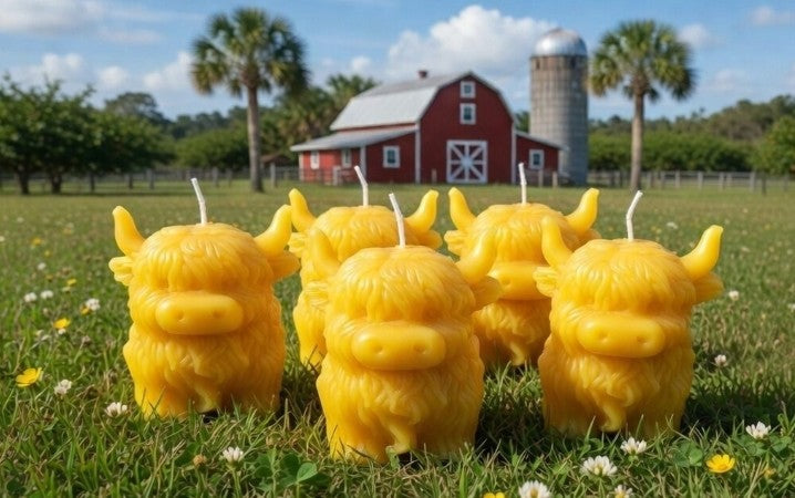 Pure Beeswax Candles
