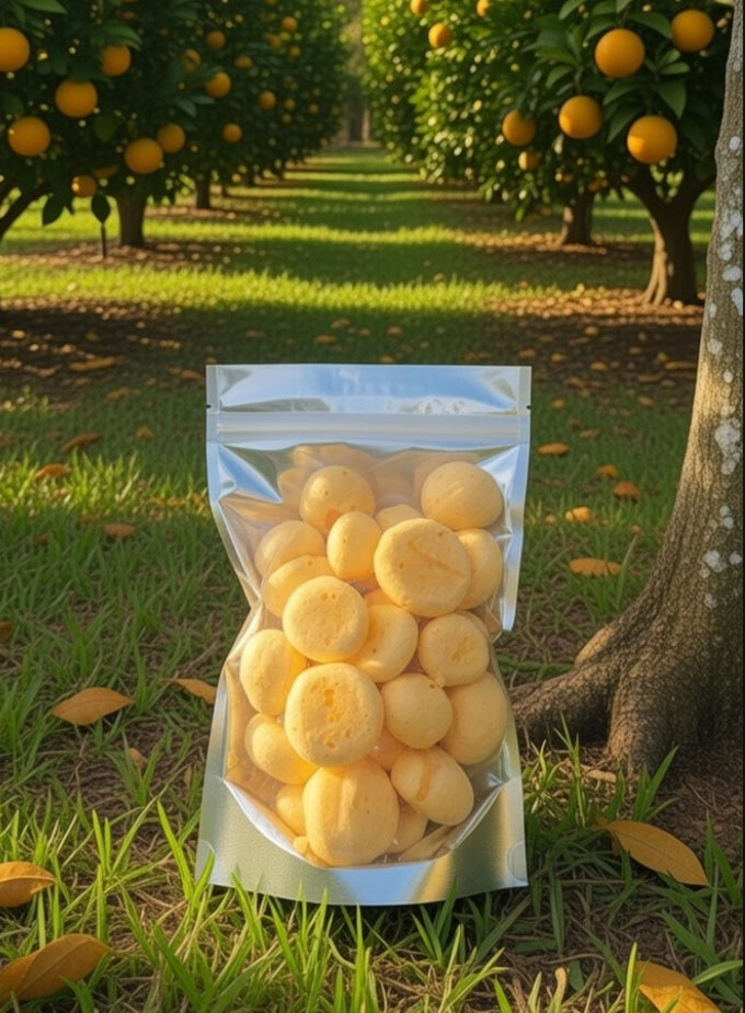 Freeze Dried Orange Florida Saltwater Taffy