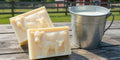 Cow's Milk Soap - Milk & Tallow