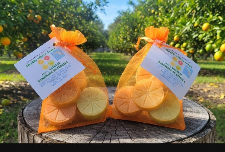 Florida Citrus Soap - Mini Soaps