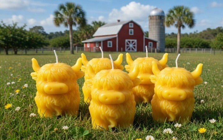 Highland Cow Pure Beeswax Candle