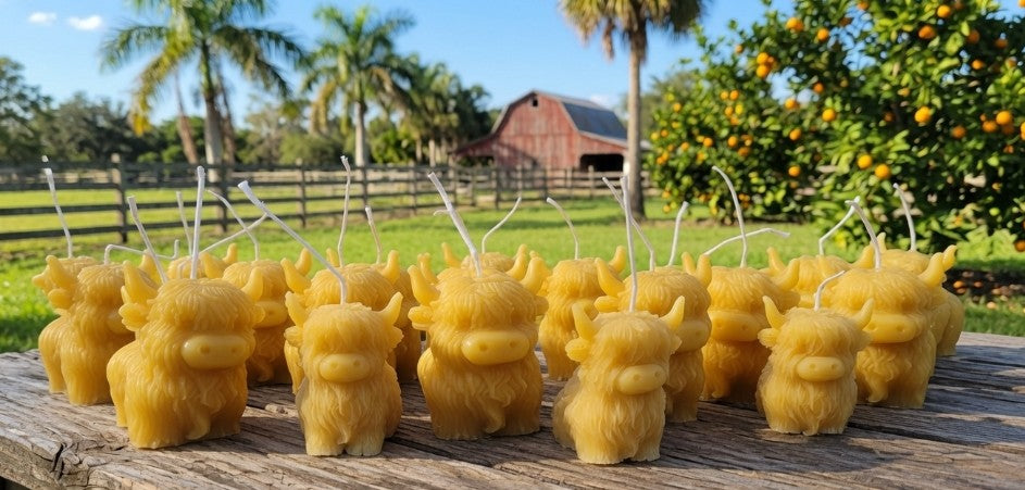Highland Cow Pure Beeswax Candle