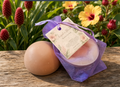 Awapuhi & Hibiscus Head to Toe Soap