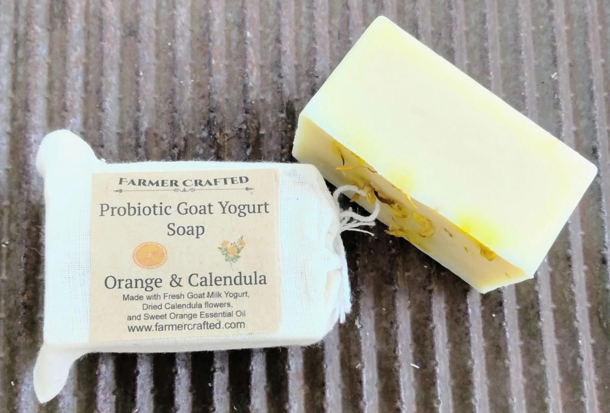 Probiotic Rich Goat Yogurt Soap Choose Your Scent
