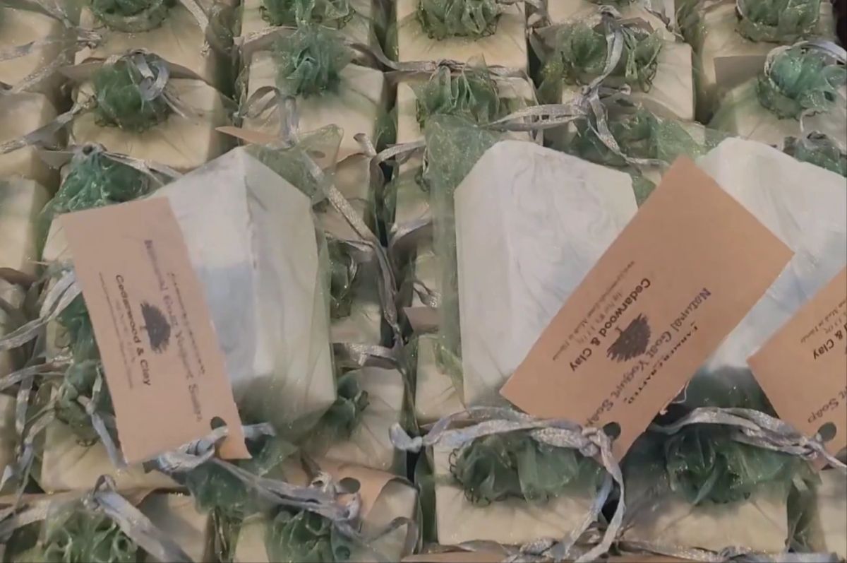 Probiotic Rich Goat Yogurt Soap Choose Your Scent