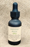 Artemesia Annua (Sweet Wormwood) 1 oz