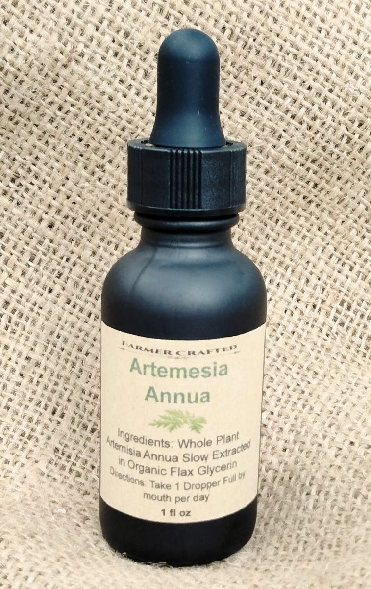 Artemesia Annua (Sweet Wormwood) 1 oz