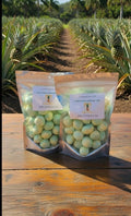 Freeze Dried Pineapple Florida Saltwater Taffy